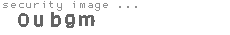 security image