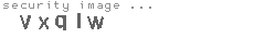 security image