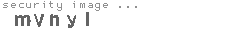 security image