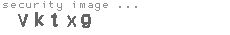 security image