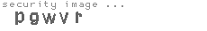 security image