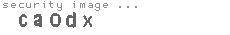 security image