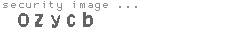 security image
