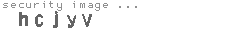 security image