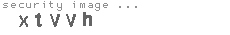 security image