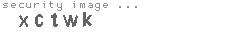 security image