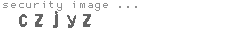 security image