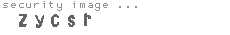 security image