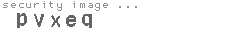 security image