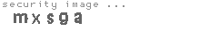 security image