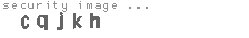 security image