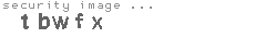 security image