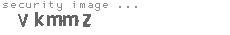 security image