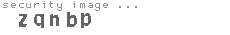 security image