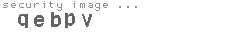 security image