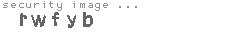 security image
