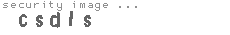 security image