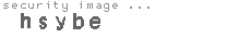 security image