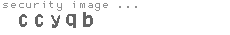 security image