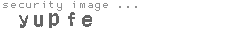 security image