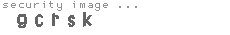 security image