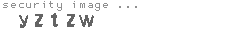 security image