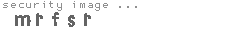 security image