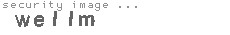 security image