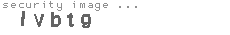 security image