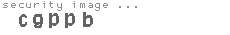 security image