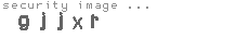 security image