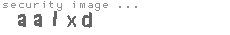 security image