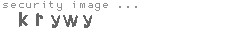 security image