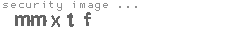 security image