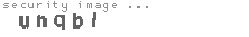 security image