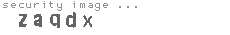 security image