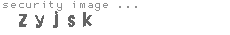 security image