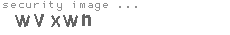 security image