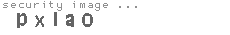 security image