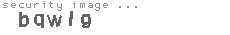 security image