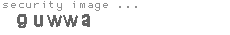 security image