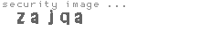 security image