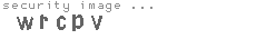 security image