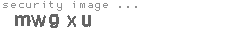 security image