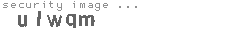 security image
