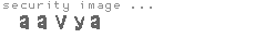 security image
