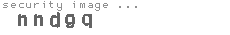 security image