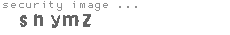 security image