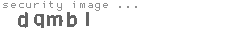 security image