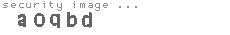 security image